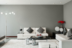 491-850-SQFT-(3-wall-colours) 491-850-SQFT-(3-wall-colours)