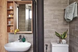 Big-pipes-(Per-toilet,-Exposed-kitchen-pipes) Big-pipes-(Per-toilet,-Exposed-kitchen-pipes)